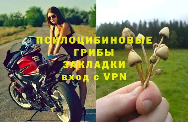 гидра Алексеевка