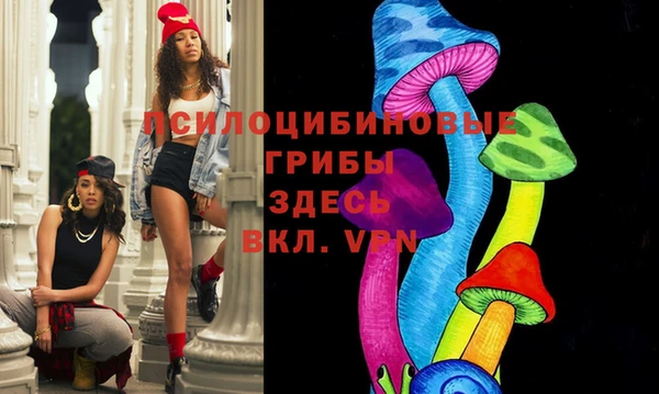молекула духа Михайловск