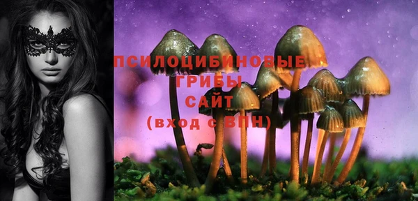 герыч Алзамай