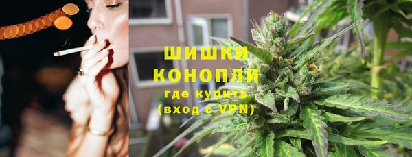 гидра Алексеевка